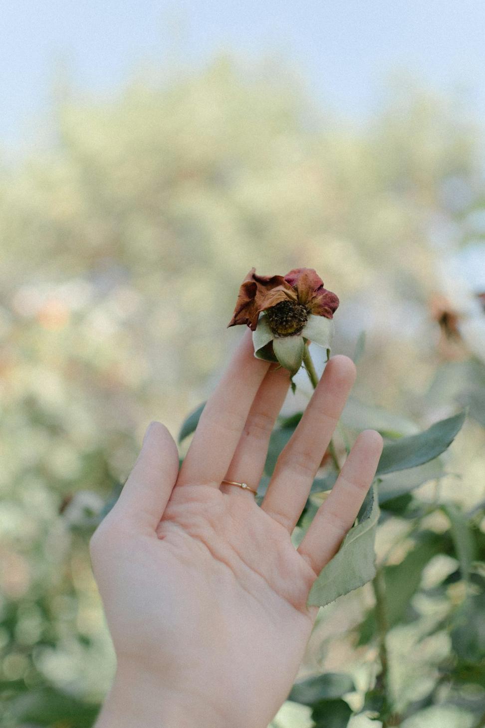 Wildflower bouquet