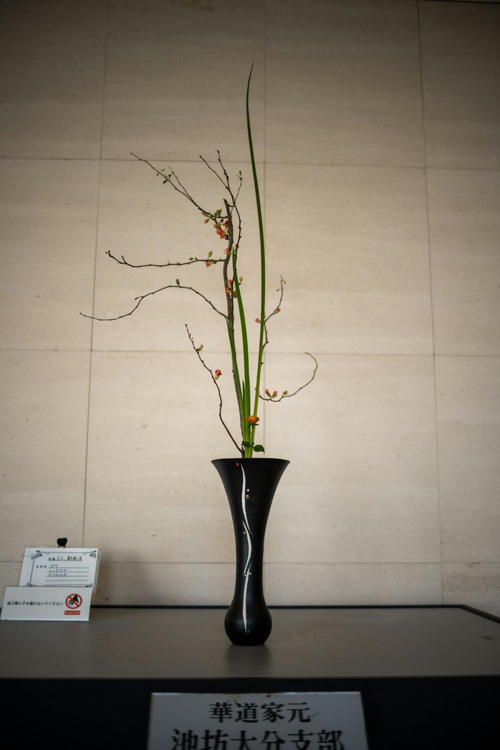 Corporate installations